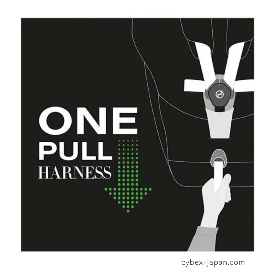 ONE PULL HARNESS